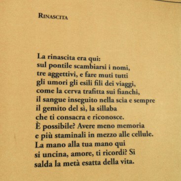 rinascita
